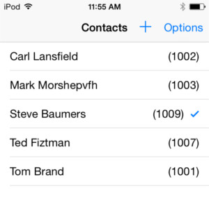 iOS list view with two-column side-by-side rendering.