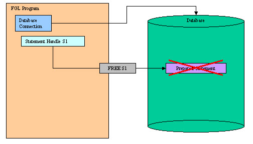 FREE statement diagram