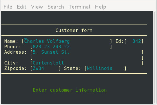Form using SCREEN section in TUI mode screenshot