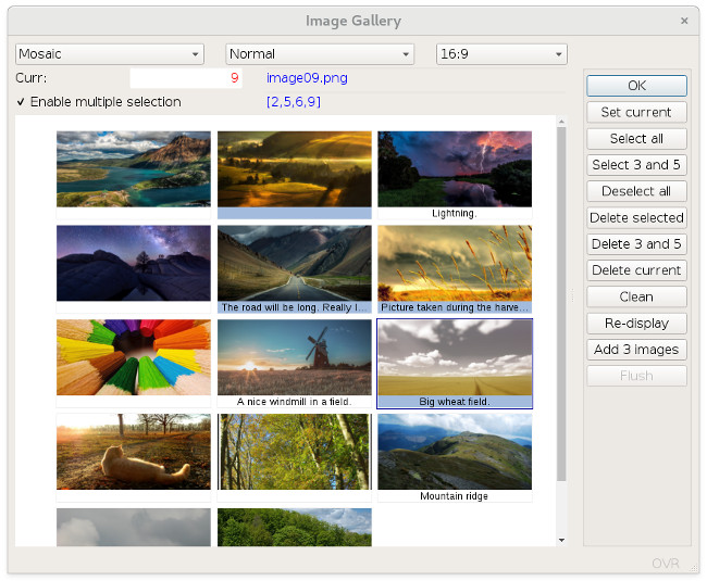 Screenshot of a program using the fglgallery web component