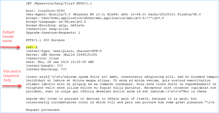 Sample output of HTTP response sending a file in the body