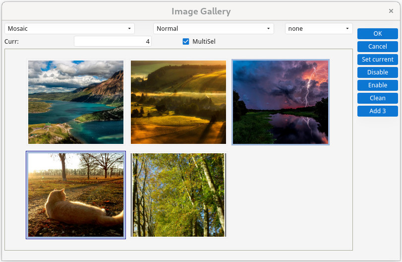 Screenshot of a program using the fglgallery web component mosaic display mode
