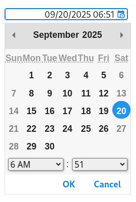 DATETIMEEDIT rendering