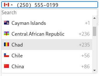 Screenshot showing a telephone input field