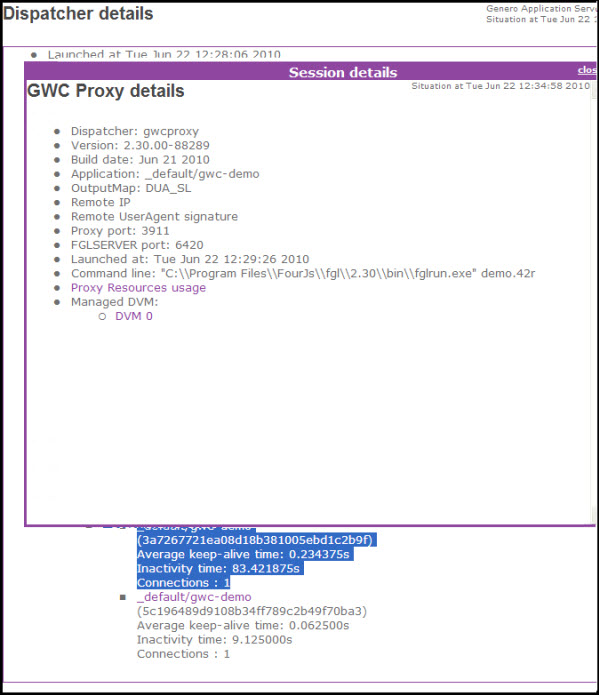 GWC proxy details screenshot