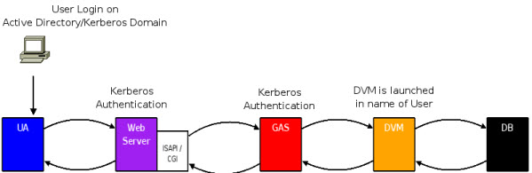 Kerberos deployment diagram showing how the DVM is launched in the name of the User when the User Login on Active Directory / Kerberos Domain.