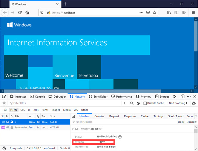 IIS default web site open on browser with developer tools showing header for HTTP version as HTTP/2