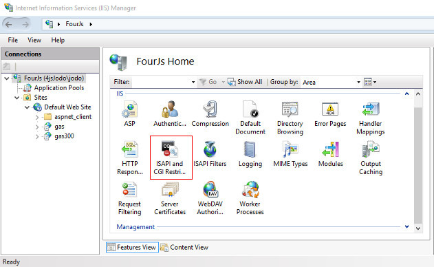 Internet Information Services (IIS) Manager Features View screenshot of Connections root node with highlighted ISAPI and CGI Restrictions icon.