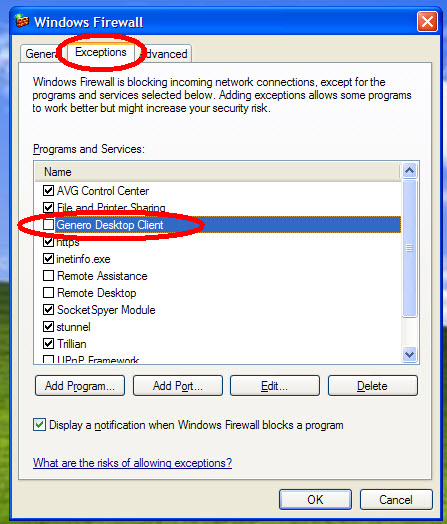 This figure is a screen shot of the Exceptions tab in the Windows Firewall window.