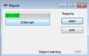 This figure is a screenshot of a form displayed to allow the user to monitor the progress of a long-running report and interrupt if needed.