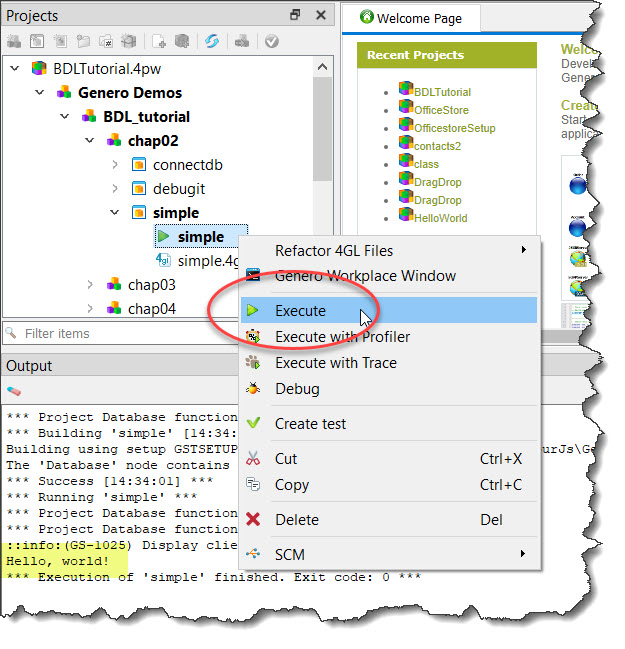 This figure shows the Execute option used to compile, link and run the simple application. The program output, "Hello, world!", displays in the Output view.