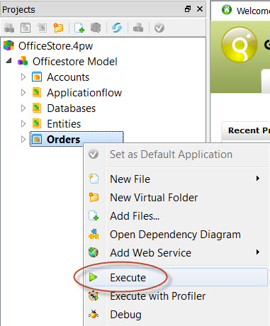 This figure is a screenshot showing how to execute an application in Project Manager.