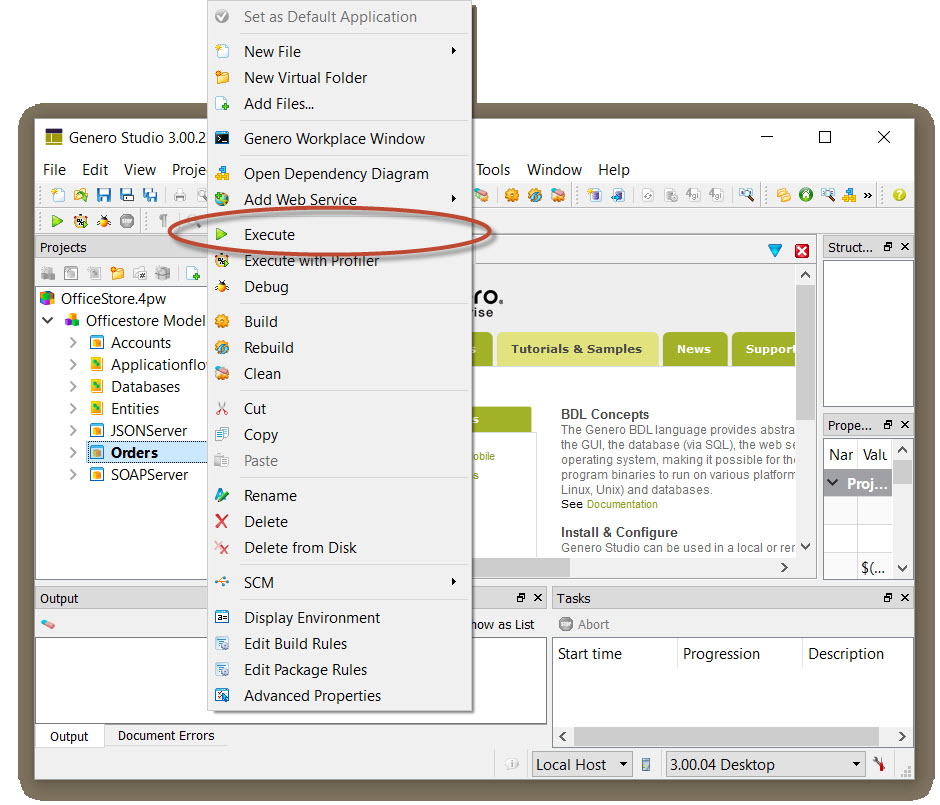 This figure is a screenshot showing how to execute an application in Project Manager.