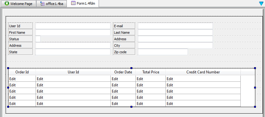 This figure is a screen shot of the form tab showing the form containing fields from the master table and detail table.