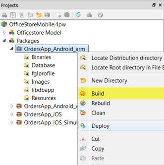 Context menu showing Build menu option.