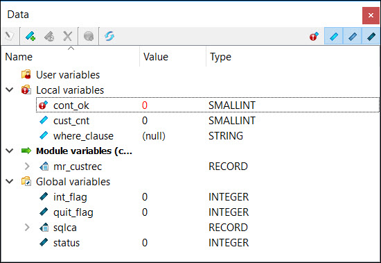 This figure is a screenshot of the Debugger Data View.