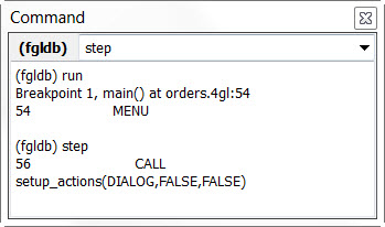 This figure is a screenshot of the Debugger Command view.