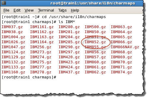 This screenshot shows the compressed IBM852 charmap in the /usr/share/i18n/charmaps directory on the Linux server.