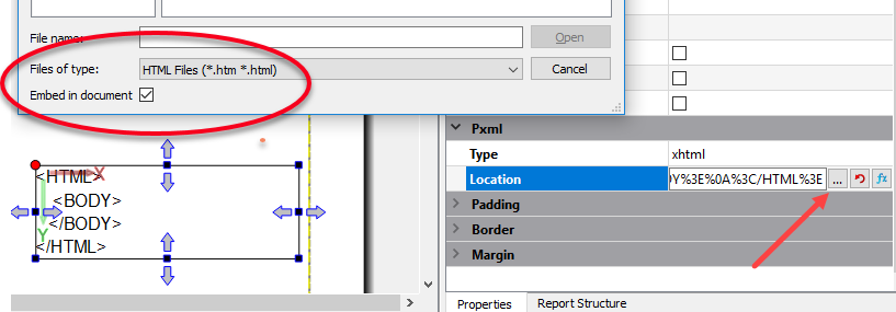 The figure is a screenshot showing the Embed in document checkbox, which allows you to embed an XHTML document in a report.