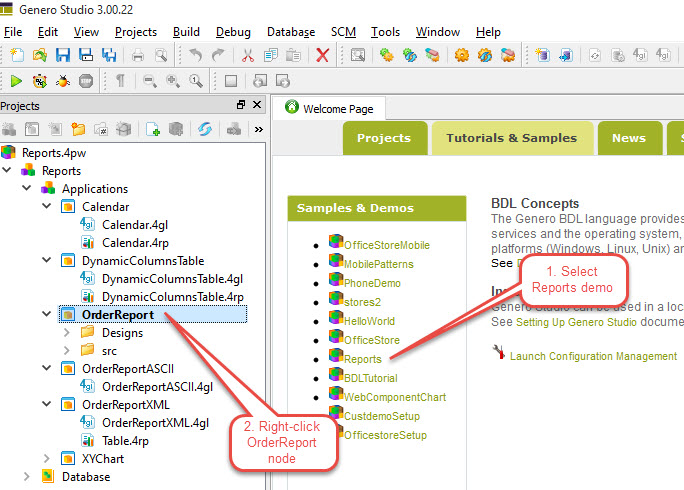 Screen shot showing where to click in the Tutorials & Samples tab to select the Reports demo and run the OrderReport application.