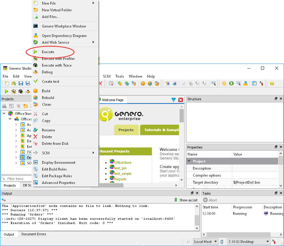 This figure is a screenshot showing how to execute an application in Project Manager.