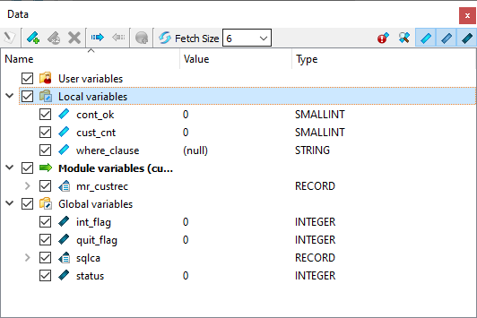 This figure is a screenshot of the Debugger Data View.