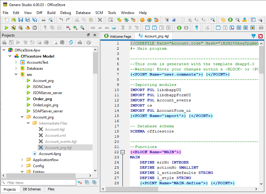 This figure shows the open Account_prg.4gl application.