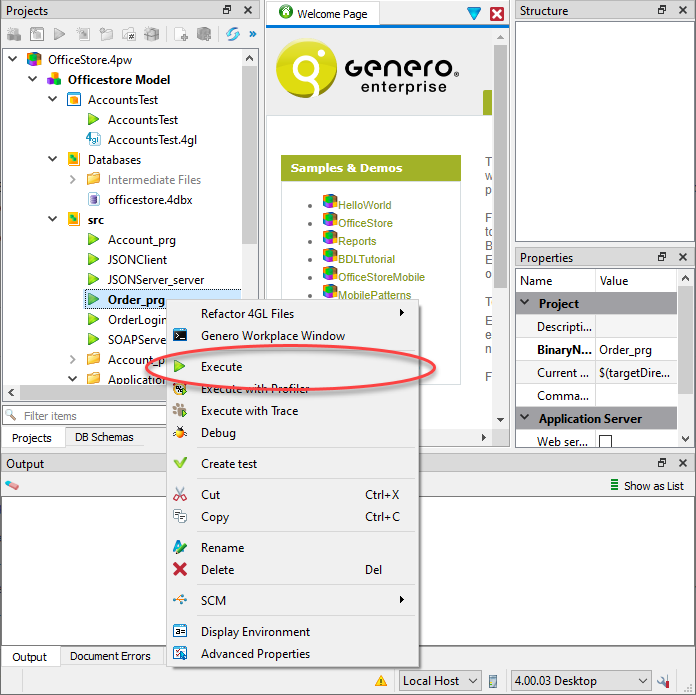 This figure is a screenshot showing how to execute an application in Project Manager.