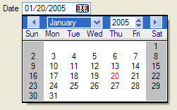 This figure shows an example of a DateEdit widget.