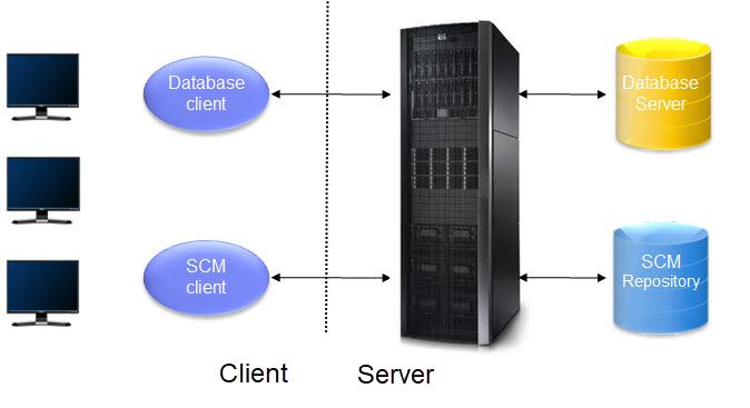 This figure shows a remote environment with the database and source code installed on a remote server.