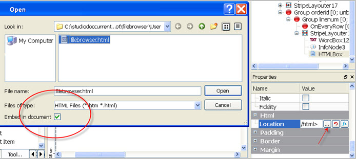 The figure is a screenshot showing the Embed in document checkbox, which allows you to embed an HTML document in a report.