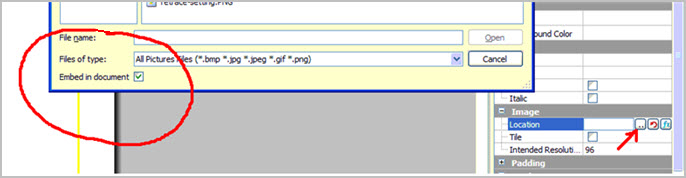 This figure is a screenshot showing the Embed in document checkbox.