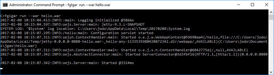 Image shows the command to start the JGAS in standalone mode with the output to indicate that it is started